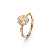 PATCHMATCH Ring