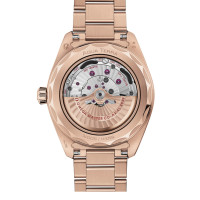 Seamaster Aqua Terra 150M