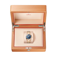 Seamaster Aqua Terra 150M