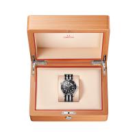 Seamaster Diver 300M