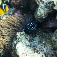 DS Action Diver