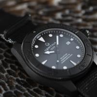 DS Action Diver