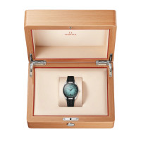 Seamaster Aqua Terra 150M