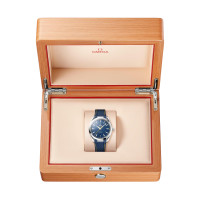 Seamaster Aqua Terra 150M