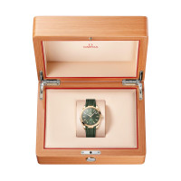 Seamaster Aqua Terra 150M