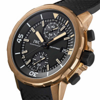 Aquatimer Chronograph Edition “Expedition Charles Darwin”