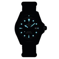 DS Action Diver
