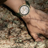 Speedmaster 38