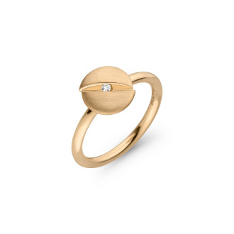 PATCHMATCH Ring