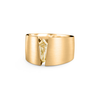 THE ONE Herrenring