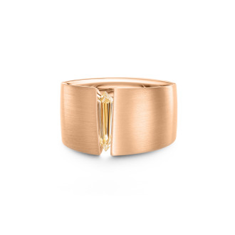 THE ONE Herrenring