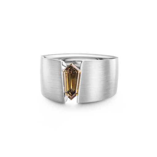 THE ONE Herrenring
