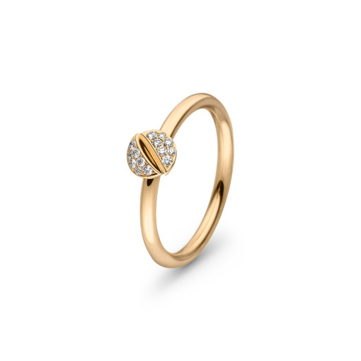 PATCHMATCH Ring