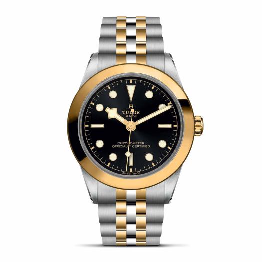 TUDOR - Black Bay 39 S&G