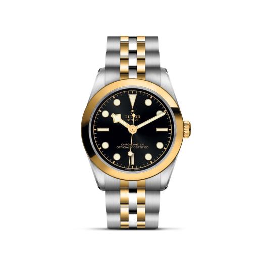 TUDOR - Black Bay 31 S&G