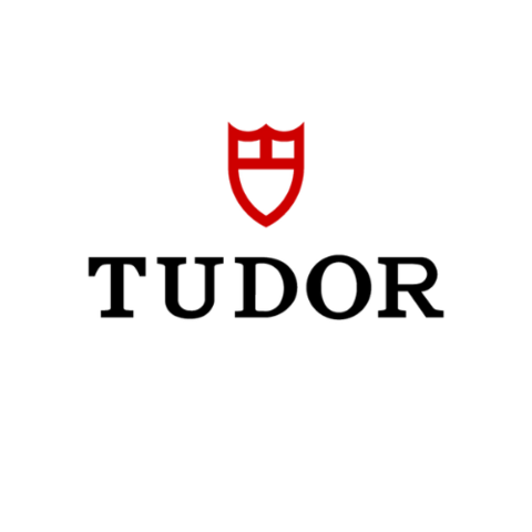 Tudor_500x500_96ppi