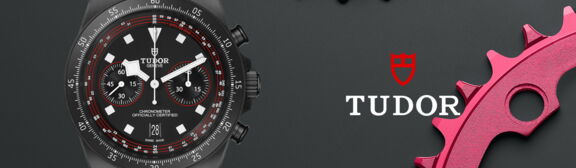 Tudor-banner